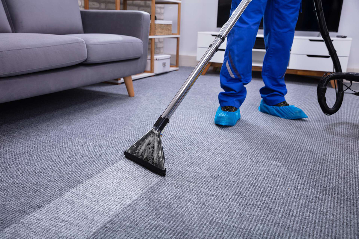 affordable carpet cleaning geelong